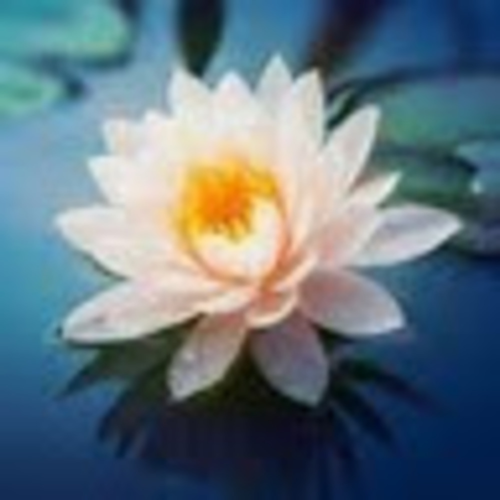 Meet your Posher, Peacefuljoyfulbliss